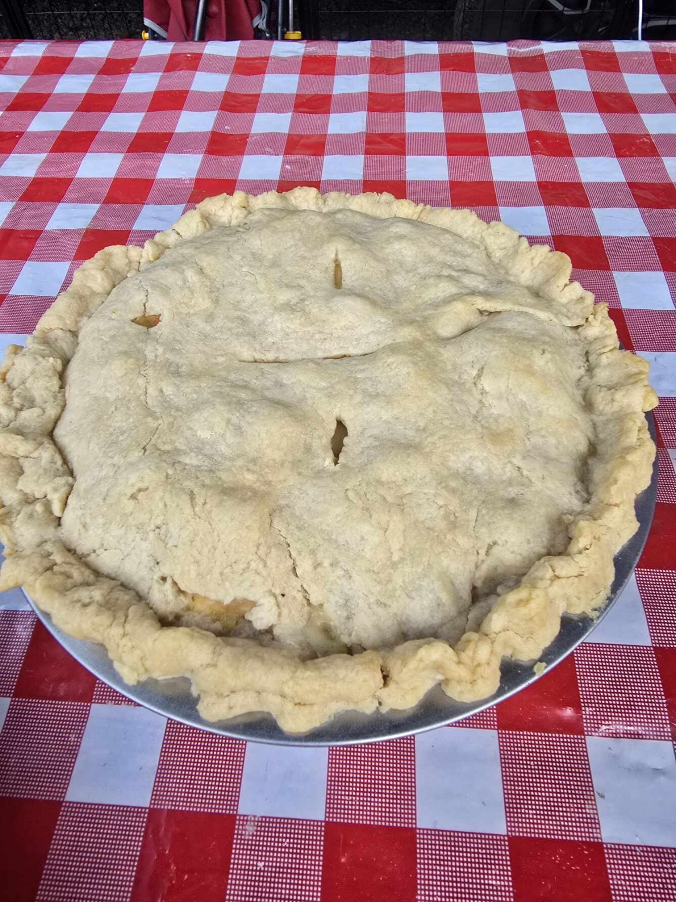 My “Even-You-Can-Make-It” Double Pie Crust