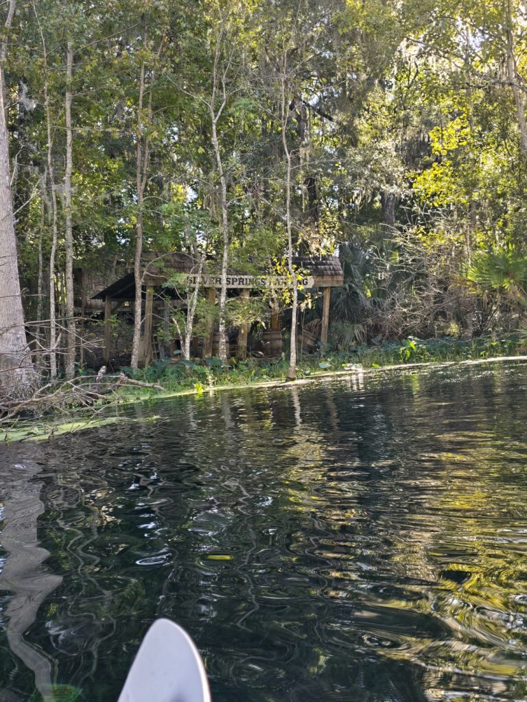 Shelter alongside the river