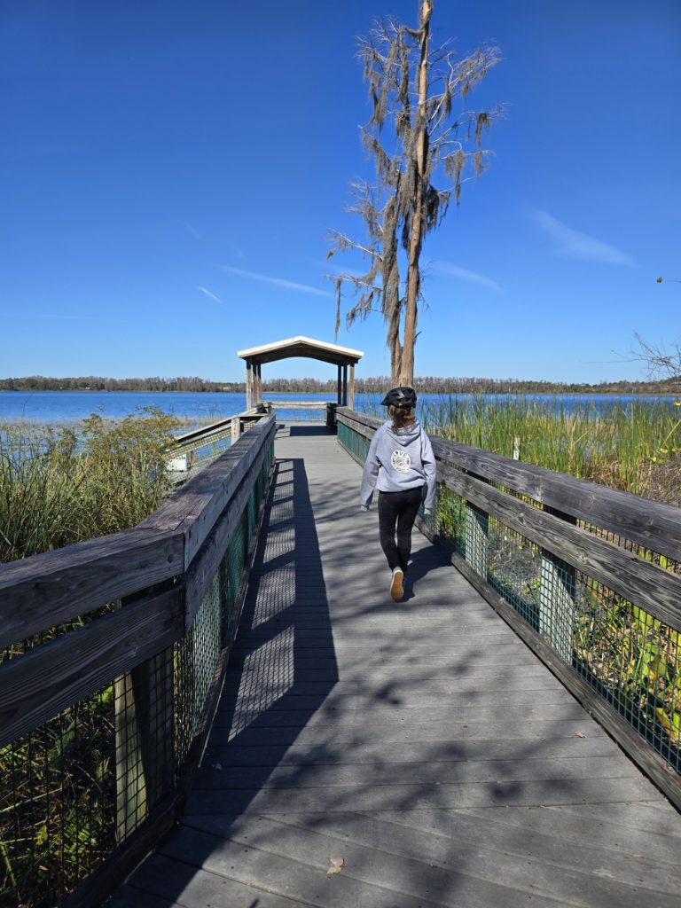 A dock looking out at the water