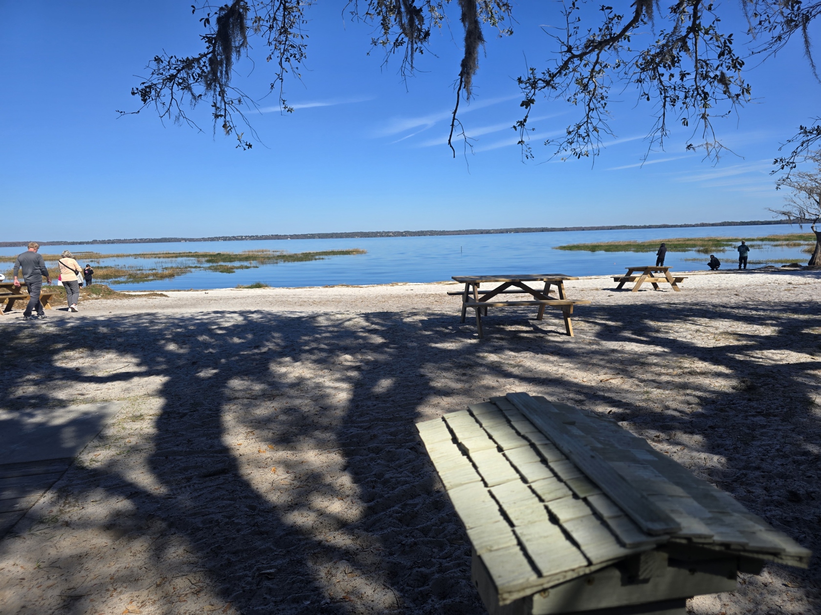 Biking (and alligator spotting!) through the beautiful Lake Louisa State Park in Clermont, FL