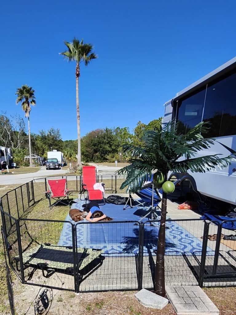 Sunny Florida winter day