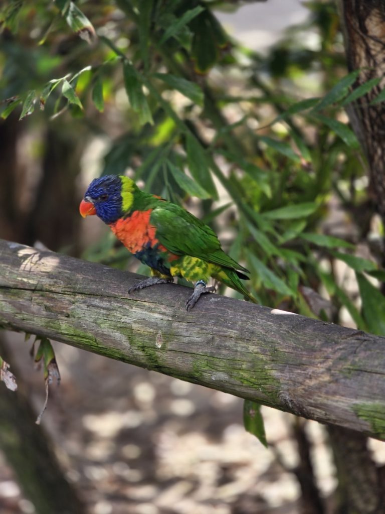 Bird perched on a branch