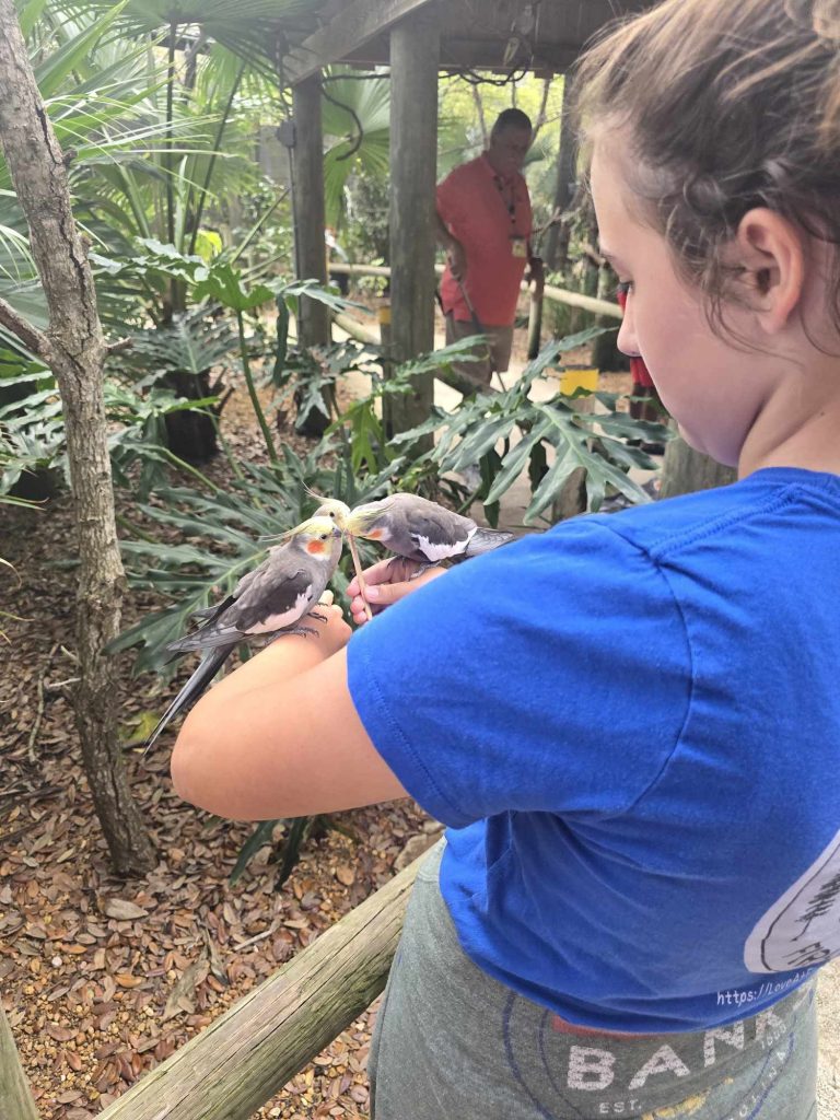 Aliyah feeding numerous birds