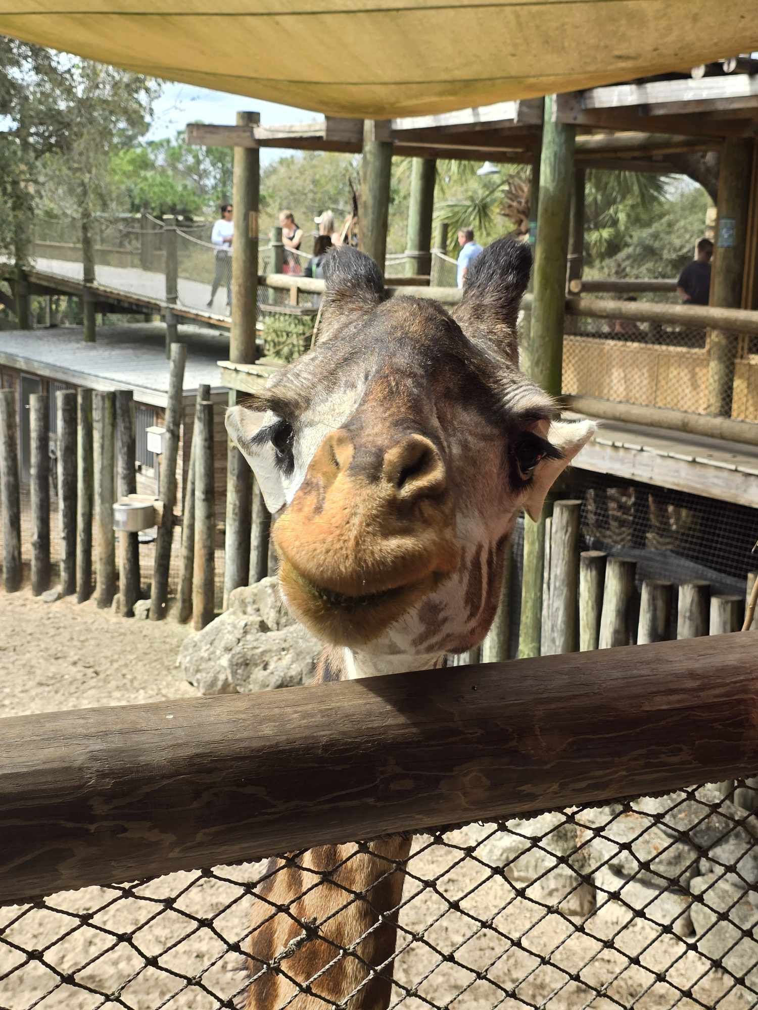 The Brevard Zoo – Easy to Navigate, Tons to See!