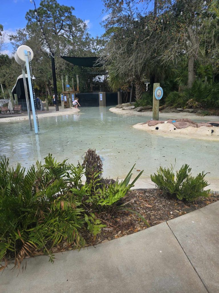 Kids splash area