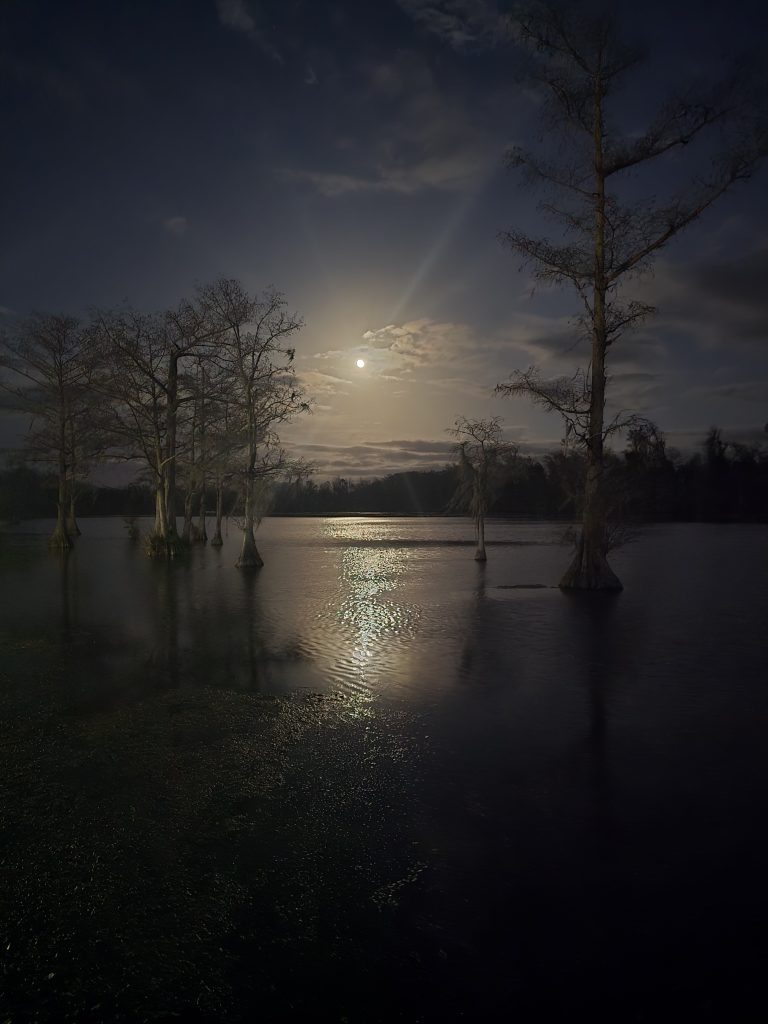 The moon