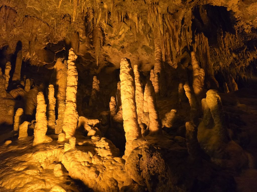 Florida Caverns