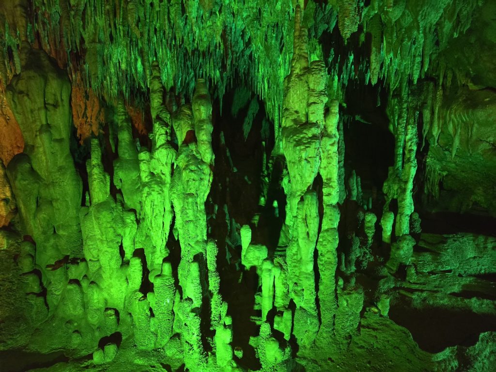 Florida Caverns