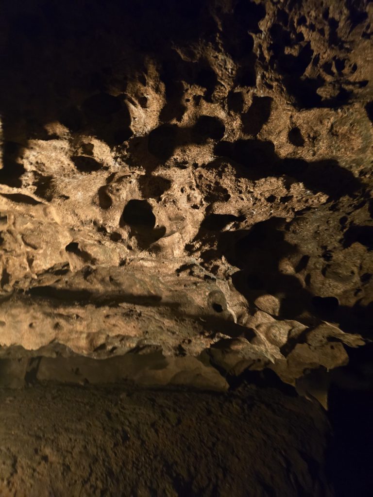 Florida Caverns