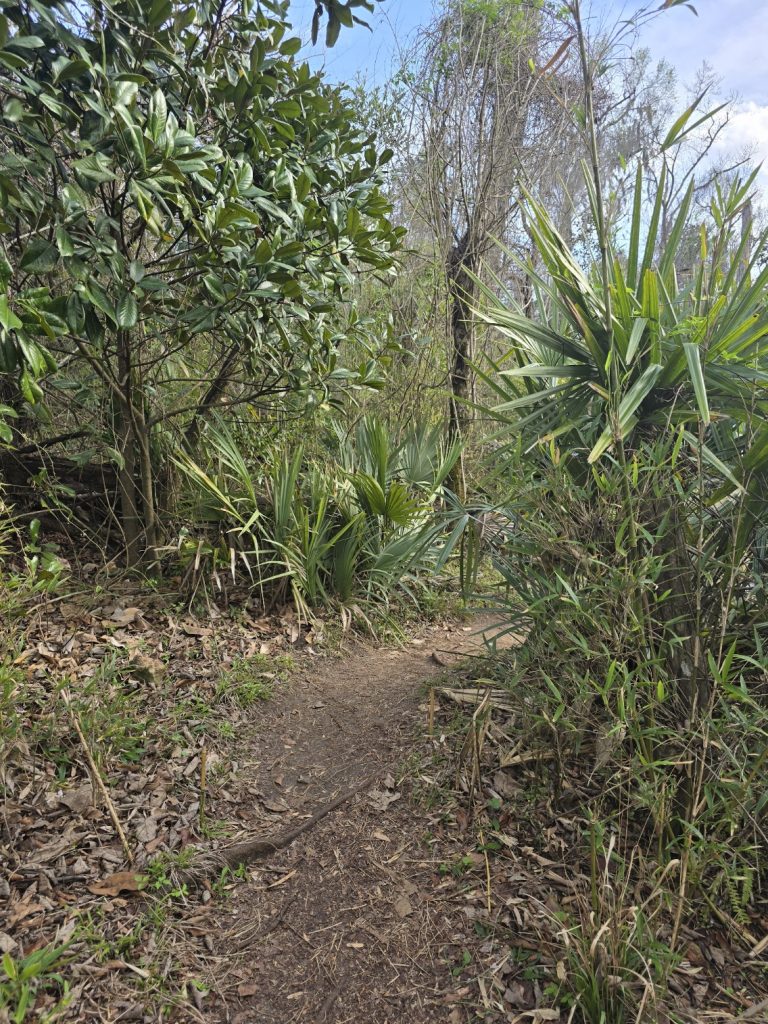 Nature Trail