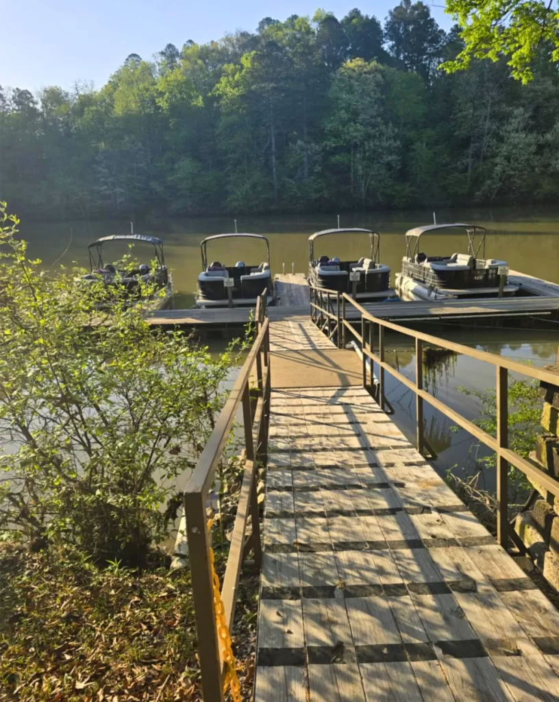 Pontoon Rentals
